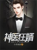 《神医狂婿》全本 作者：小手冰凉-免费小说下载-听风雨阅读