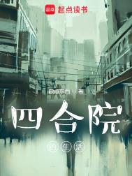 《四合院的生活》全本 作者：缺点东西-免费小说下载-听风雨阅读
