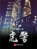 《虎警》全本 作者：黑天魔神-免费小说下载-听风雨阅读