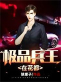 《极品兵王在花都》全本 作者：狼崽子-免费小说下载-听风雨阅读