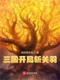 《三国开局斩关羽》全本 作者：烟雨莽苍苍-免费小说下载-听风雨阅读
