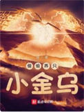 《偷偷养只小金乌》全本 作者：育-免费小说下载-听风雨阅读