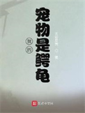 《我的宠物是鳄龟》全本 作者：五彩贝壳-免费小说下载-听风雨阅读