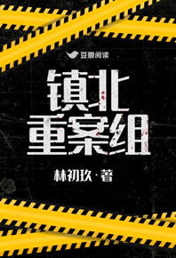 《镇北重案组》全本 作者：林初玖-免费小说下载-听风雨阅读