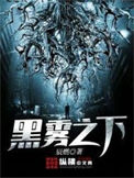 《黑雾之下》全本 作者：辰燃-免费小说下载-听风雨阅读