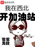 《我在西北开加油站》全本 作者：爸爸无敌-免费小说下载-听风雨阅读
