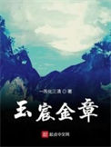 《玉宸金章》全本 作者：一炁化三清-免费小说下载-听风雨阅读