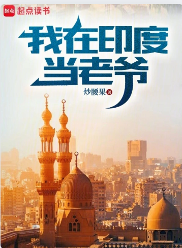 《我在印度当老爷》连载 (1-331章) 作者：炒腰果-免费小说下载-听风雨阅读