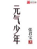 《元气少年》全本 作者：张君宝-免费小说下载-听风雨阅读