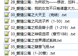 《爱情公寓系列》合集全本 作者：多人-免费小说下载-听风雨阅读