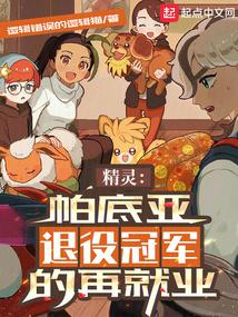 《精灵：帕底亚退役冠军的再就业》作者：逻辑错误的逻辑猫-最新章节无错下载-听风雨阅读