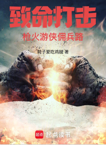 《致命打击：枪火游侠佣兵路》作者：耗子爱吃鸡腿-最新章节无错下载-听风雨阅读