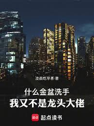 《什么金盆洗手，我又不是龙头大佬》作者：凌晨吃早茶-最新章节无错下载-听风雨阅读
