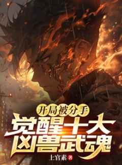 《开局被分手，觉醒十大凶兽武魂》作者：上官素-最新章节无错下载-听风雨阅读