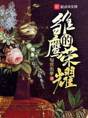 《雏鹰的荣耀》作者：匂宮出夢-最新章节无错下载-听风雨阅读
