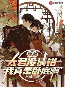 《谍战，都别猜了，我真是卧底啊》作者：丛拾-最新章节无错下载-听风雨阅读