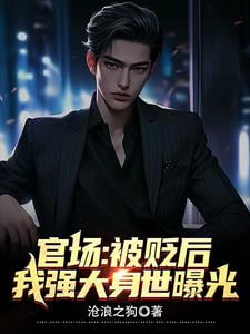 《官场：被贬后，我强大身世曝光》作者：沧浪之狗-最新章节无错下载-听风雨阅读