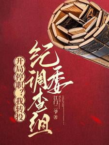 《开局停职？我转投纪委调查组》作者：江门二爷-最新章节无错下载-听风雨阅读