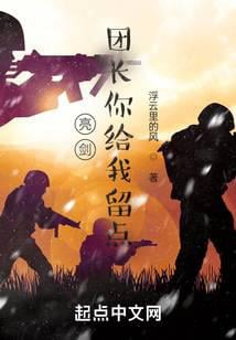 《亮剑：团长你给我留点》作者：浮云里的风-最新章节无错下载-听风雨阅读