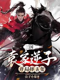 《三国：袁家逆子，开局摔玉玺》作者：公子小易-最新章节无错下载-听风雨阅读