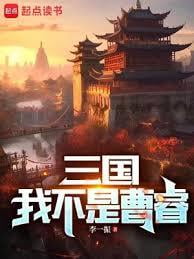 《三国：我不是曹睿》作者：李一振-最新章节无错下载-听风雨阅读