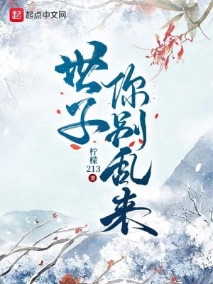 《世子你别乱来》作者：柠檬213-最新章节无错下载-听风雨阅读