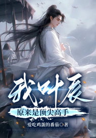 《我，叶辰原来是顶尖高手》作者：爱吃鸡蛋的番茄-最新连载章节无错下载-听风雨阅读