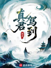 《真君驾到》作者：阎ZK-最新连载章节无错下载-听风雨阅读