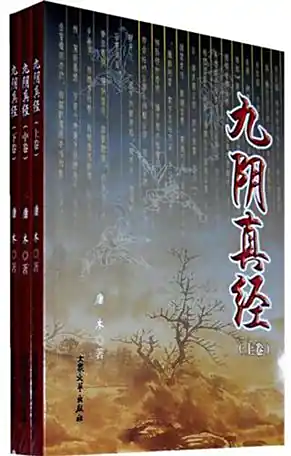 《九阴真经》有声全集 作者：庸木/演播：凡路遥-精校有声小说下载-听风雨阅读