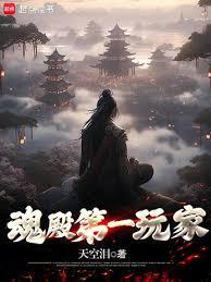 《魂殿第一玩家》全本 作者：天空泪-小说最新章节下载-听风雨阅读