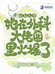 《回到九零，她在外科大佬圈火爆了》全本 作者：肥妈向善-小说最新章节下载-听风雨阅读