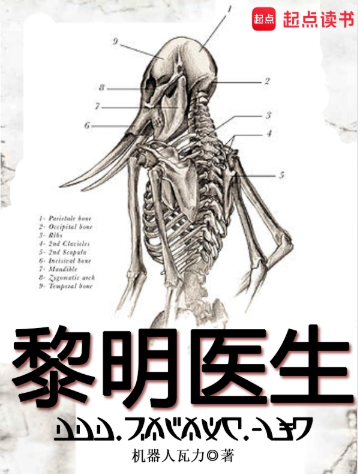 《黎明医生》全本 作者：机器人瓦力-小说最新连载章节下载-听风雨阅读