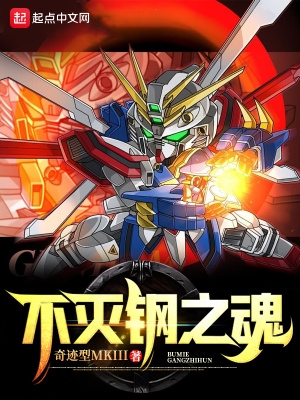 《不灭钢之魂》全本 作者：奇迹型MKIII-小说最新章节下载-听风雨阅读
