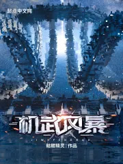 《机武风暴》全本 作者：骷髅精灵-小说最新章节下载-听风雨阅读