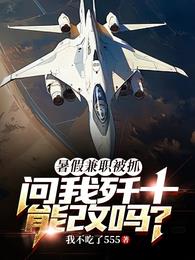 《暑假兼职被抓，问我歼十能改吗？》全本 作者：我不吃了555-小说最新章节下载-听风雨阅读