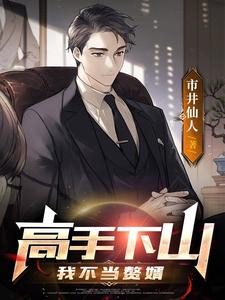《高手下山：我不当赘婿》全本 作者：市井仙人-小说最新连载章节下载-听风雨阅读