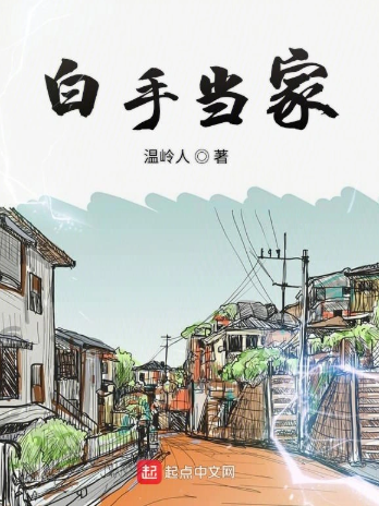 《白手当家》全本 作者：温岭人-小说最新章节下载-听风雨阅读