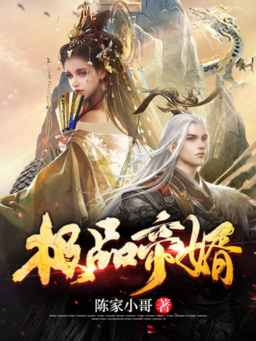 《极品帝婿》全本 作者：陈家小哥-小说最新连载章节下载-听风雨阅读