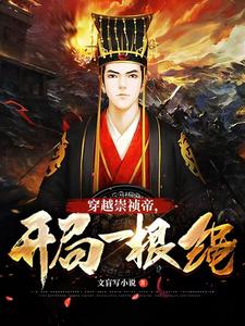 《大明：穿越崇祯帝，开局一根绳》全本 作者：文盲写小说-小说最新章节下载-听风雨阅读