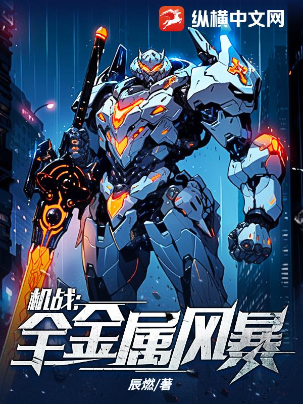 《机战：全金属风暴》全本 作者：辰燃-小说最新章节下载-听风雨阅读