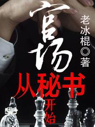 《官场从秘书开始》全本 作者：老冰棍-小说最新章节下载-听风雨阅读
