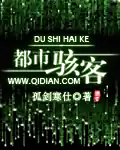 《都市骇客》全本 作者：孤剑寒仕-小说最新章节下载-听风雨阅读