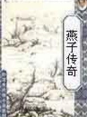 《燕子传奇》全本 作者：卧龙生-小说最新连载章节下载-听风雨阅读