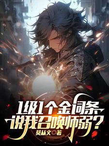 《1级1个金词条，说我召唤师弱？》全本 作者：莫从文-小说最新章节下载-听风雨阅读