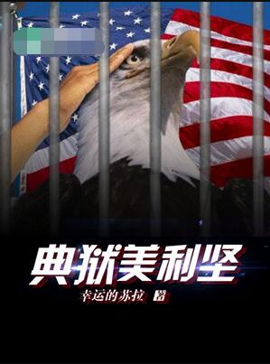 《典狱美利坚》全本 作者：幸运的苏丹-小说最新章节下载-听风雨阅读