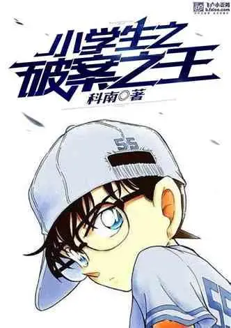 《小学生之破案之王》全本 作者：科南-小说最新章节下载-听风雨阅读