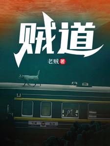 《贼道》全本 作者：向北-小说最新章节下载-听风雨阅读