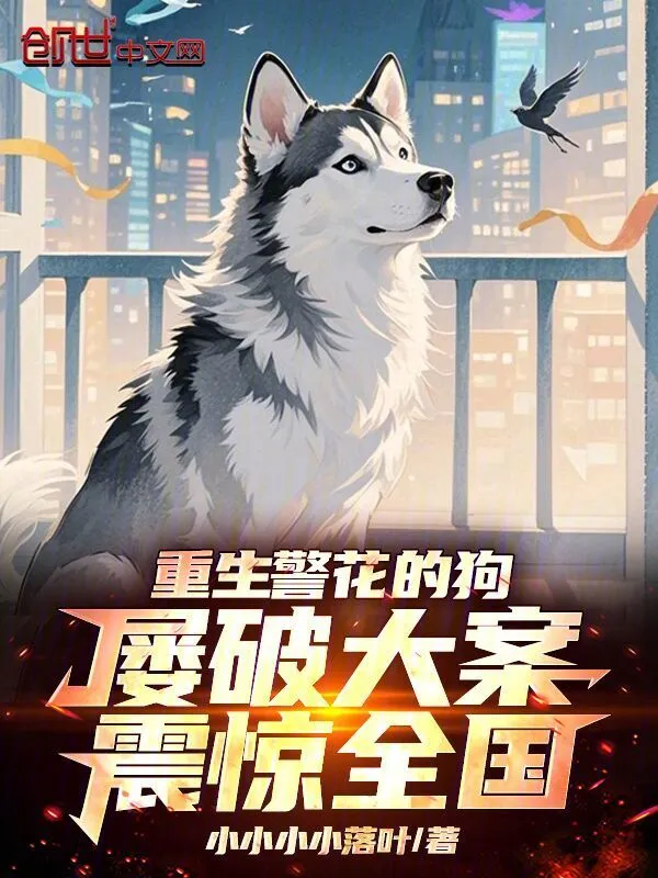 《重生警花的狗，屡破大案震惊全国》全本 作者：小小小小落叶-小说最新章节免费下载-听风雨阅读