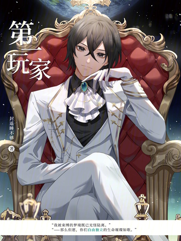 《第一玩家》全本 作者：流泪猫安头-听风雨阅读