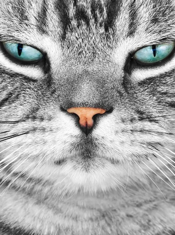 大叔猛如虎的头像-听风雨阅读